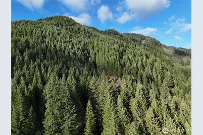 1951 Bear Creek Road, Carson, WA 98610 - Photo 7