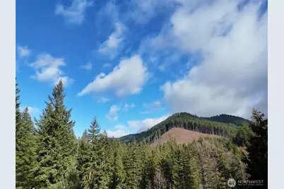 1951 Bear Creek Road, Carson, WA 98610 - Photo 9