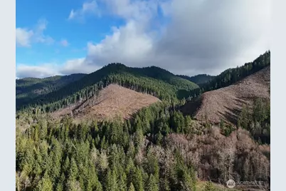 1951 Bear Creek Road, Carson, WA 98610 - Photo 11