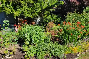 10743 14th Avenue Northeast, Seattle, WA 98125 - Photo 37