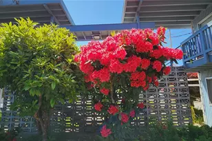 624 W Cedar St, Shelton, WA 98584 - Photo 19