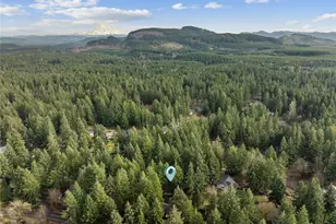 22429 Clearview Ct SE, Yelm, WA 98597 - Photo 31