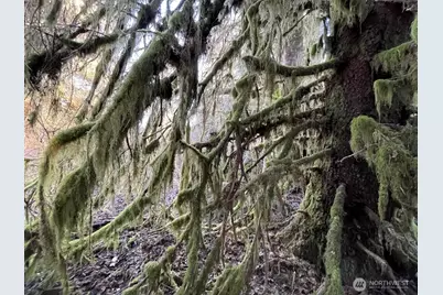 2613 US Highway 101, Hoquiam, WA 98550 - Photo 3