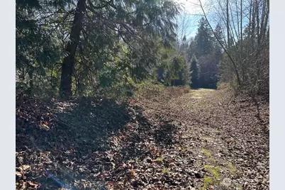 57 Xx 188th Avenue NE, Redmond, WA 98053 - Photo 3