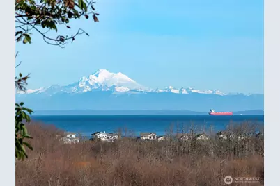 293 Moonlight Drive, Sequim, WA 98382 - Photo 5