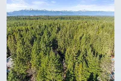 1310 NE Collins Lake Drive, Tahuya, WA 98588 - Photo 23