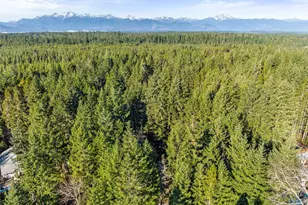 1310 NE Collins Lake Dr, Tahuya, WA 98588 - Photo 23