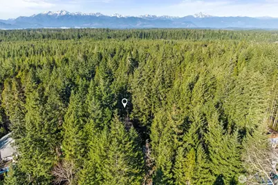 1310 NE Collins Lake Drive, Tahuya, WA 98588 - Photo 21