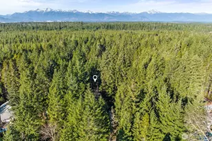 1310 NE Collins Lake Dr, Tahuya, WA 98588 - Photo 21