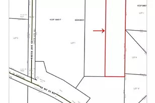 44839 SE 129th St, North Bend, WA 98045 - Photo 33