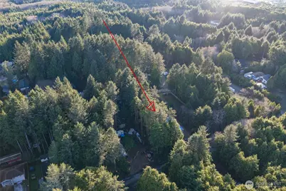 40 Robin Lane, Pacific Beach, WA 98571 - Photo 7