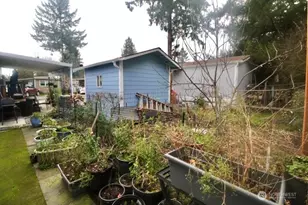 3105 M St SE, Auburn, WA 98002 - Photo 7