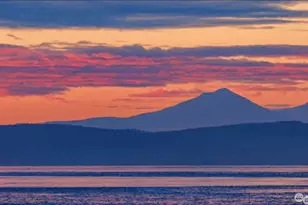 110 174th Pl NE, Bellevue, WA 98008 - Photo 3