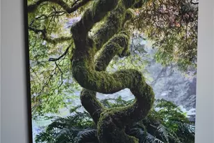 1808 Minor Ave, Seattle, WA 98101 - Photo 19