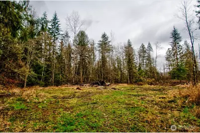 236 Tryon Road, Onalaska, WA 98570 - Photo 37