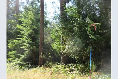 3 Holly Road NW, Bremerton, WA 98312 - Photo 7