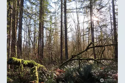 115 Campground Lane, Winlock, WA 98596 - Photo 13