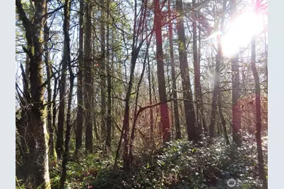 115 Campground Lane, Winlock, WA 98596 - Photo 9