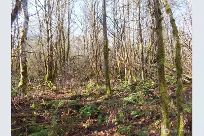 115 Campground Lane, Winlock, WA 98596 - Photo 7