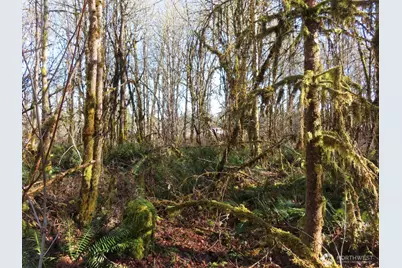 115 Campground Lane, Winlock, WA 98596 - Photo 3