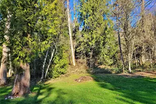 301 Winston Creek Rd, Mossyrock, WA 98564 - Photo 33