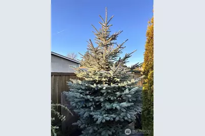 11436 SE 208th Street #112, Kent, WA 98031 - Photo 35