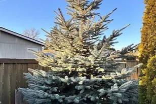 11436 SE 208th St, Kent, WA 98031 - Photo 35