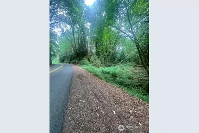 14802 Delano Road SW, Longbranch, WA 98349 - Photo 1