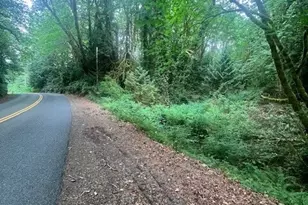 14802 Delano Rd SW, Longbranch, WA 98349 - Photo 1