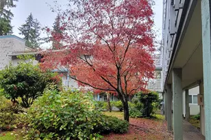 5802 200th St SW, Lynnwood, WA 98036 - Photo 1