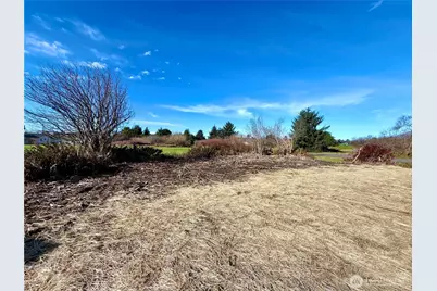 299 Octopus Avenue NE, Ocean Shores, WA 98569 - Photo 33