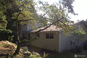 313 & 315 146th Pl NE, Bellevue, WA 98007 - Photo 7