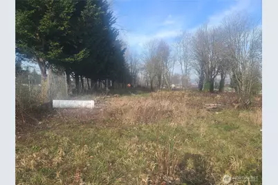 3826 E N Street, Tacoma, WA 98404 - Photo 3