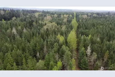 0 164th Street E, Buckley, WA 98321 - Photo 7