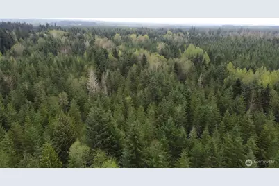 0 164th Street E, Buckley, WA 98321 - Photo 9