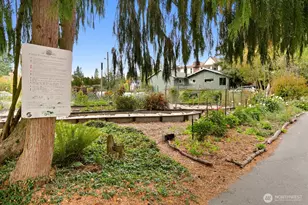 13007 1st Ave NE, Seattle, WA 98125 - Photo 9