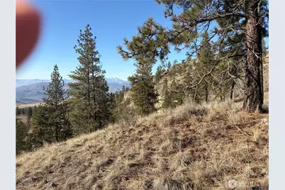 1 Tbd Valley View Drive, Oroville, WA 98844 - Photo 9