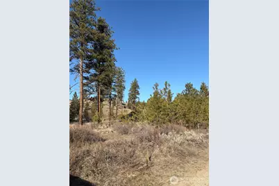 1 Tbd Valley View Drive, Oroville, WA 98844 - Photo 5