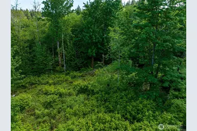 0 Valley Ridge Road, Chehalis, WA 98532 - Photo 3