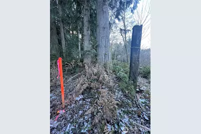 0 Valley Ridge Road, Chehalis, WA 98532 - Photo 5