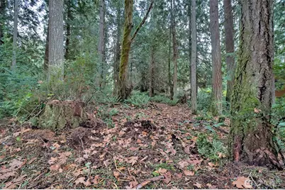 120 SE Sells Drive, Shelton, WA 98584 - Photo 9