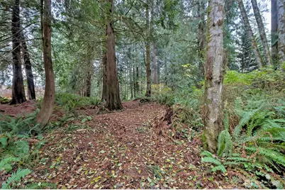 120 SE Sells Drive, Shelton, WA 98584 - Photo 13