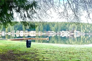 920 E Mason Lake Dr E, Grapeview, WA 98546 - Photo 37