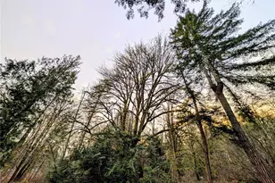 4010 Whiteman Rd SW, Lakebay, WA 98349 - Photo 1
