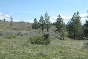 0 Tbd High Country Dr W, Tonasket, WA 98855 - Photo 33