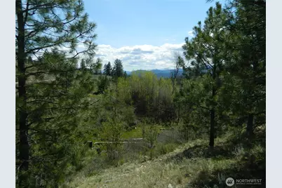 0 Tbd High Country Drive W, Tonasket, WA 98855 - Photo 33