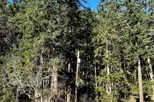 55 Vancouver Pl, Port Townsend, WA 98368 - Photo 1