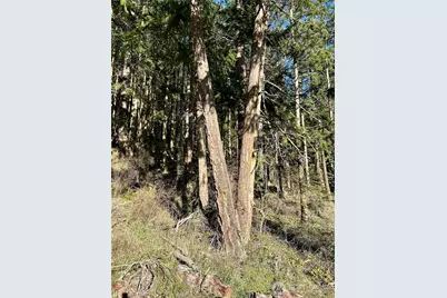 55 Vancouver Place, Port Townsend, WA 98368 - Photo 5