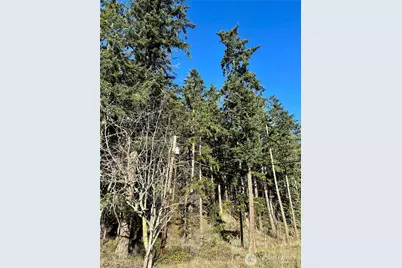 55 Vancouver Place, Port Townsend, WA 98368 - Photo 3