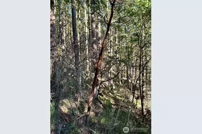 55 Vancouver Place, Port Townsend, WA 98368 - Photo 7